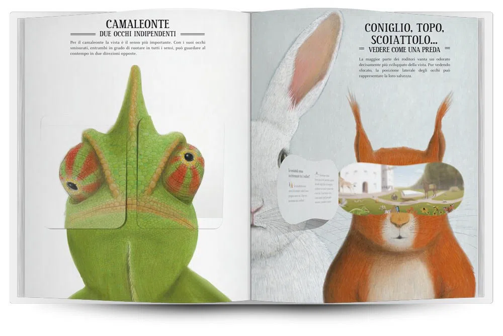 Zoottica. Come vedono gli animali?
