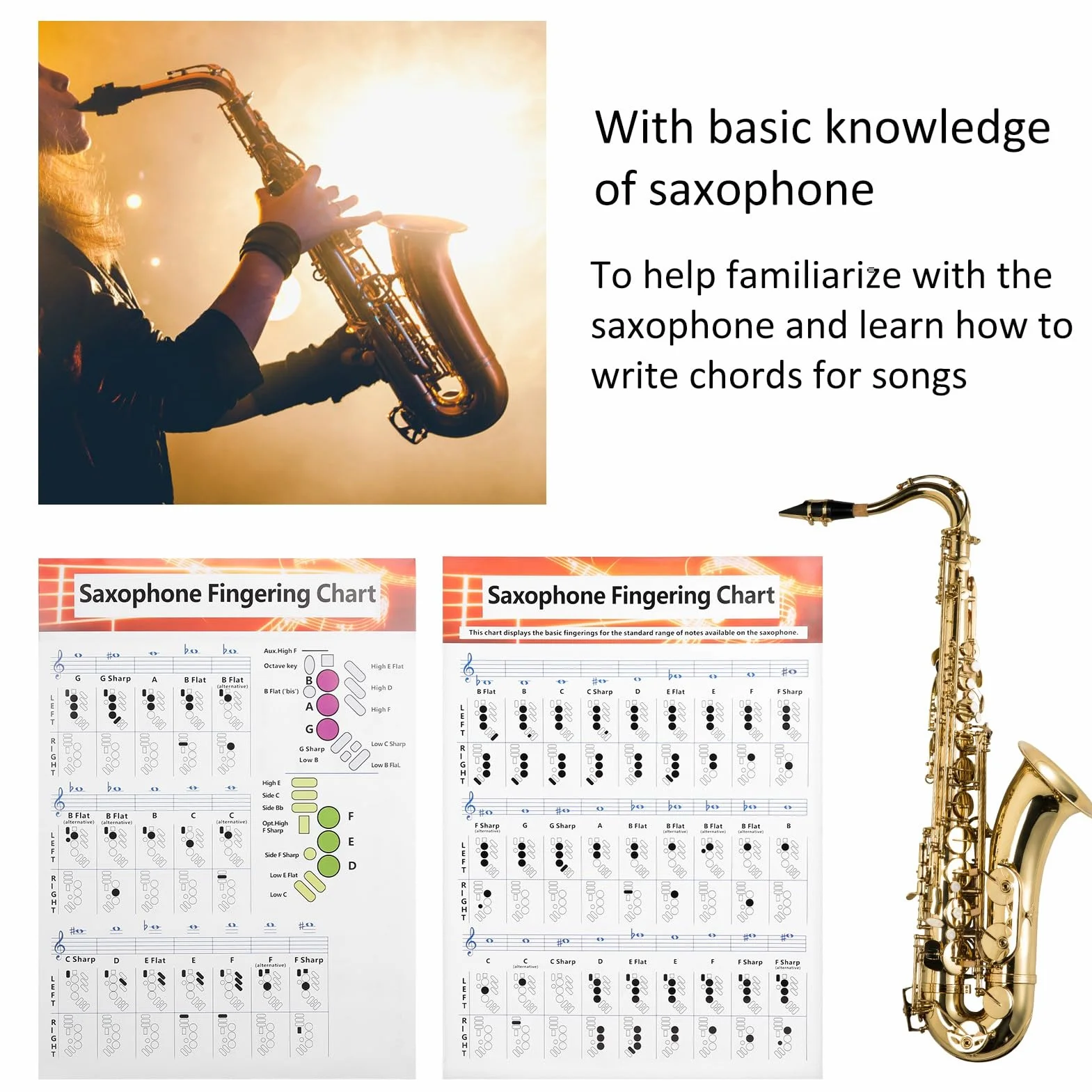 Sassofono Diteggiatura Poster Poster Sax Alto Tenore Soprano Note Principiante Libro per Principianti Dito Chiave per,Wind & Woodwinds Sassofono Fingering Chart Guida di Base