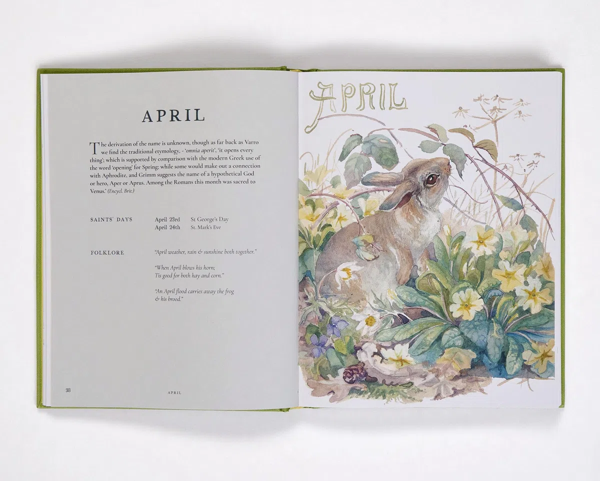 Nature Notes of an Edwardian Lady: A Seasonal Guide from the Edwardian Lady