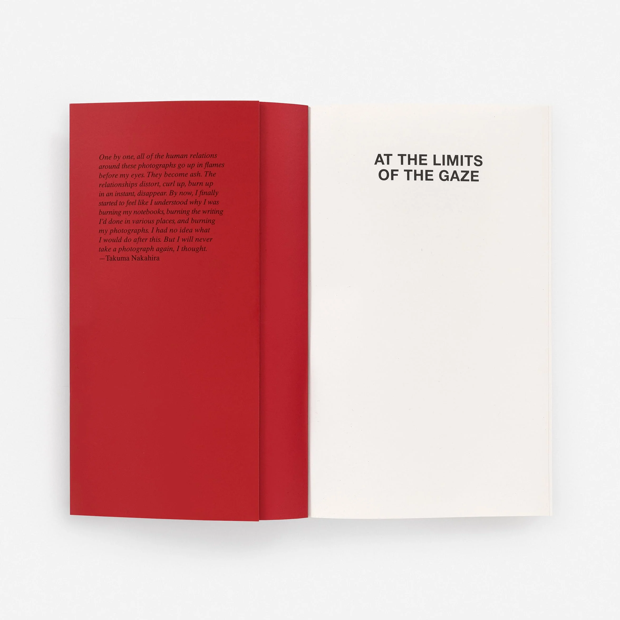 At the Limits of the Gaze: Selected Writings