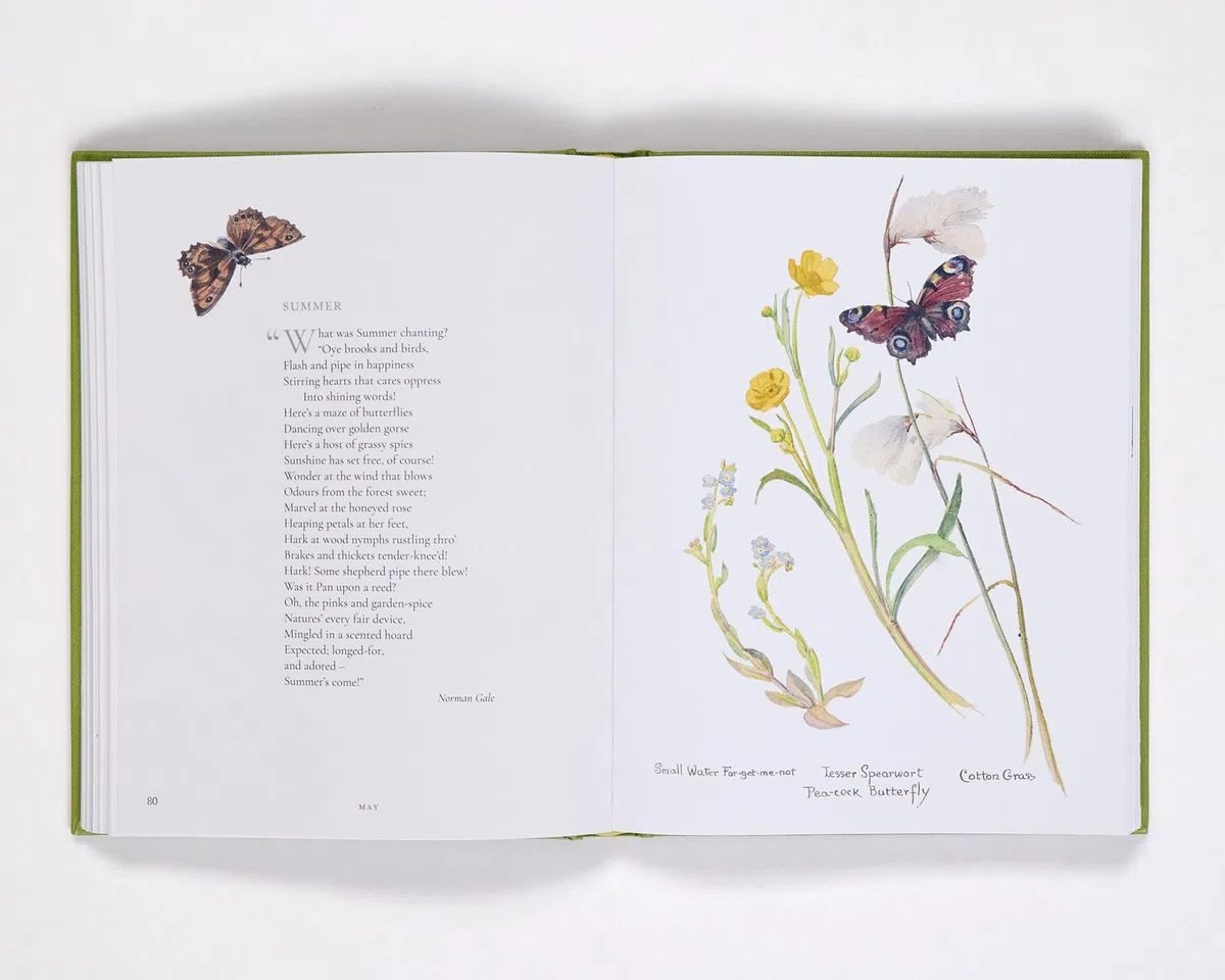 Nature Notes of an Edwardian Lady: A Seasonal Guide from the Edwardian Lady