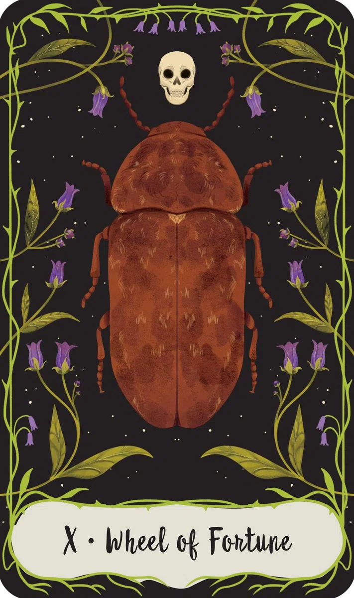 Practical Magic: The Motion Picture: The Official Tarot Deck and Guidebook