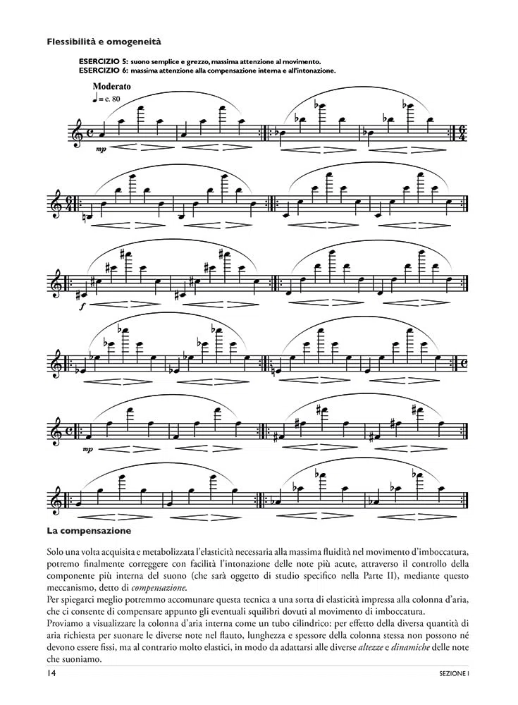 Dentro il suono. Cinquanta studi per fare del flauto la tua voce | Giampaolo Pretto metodo di studi progressivi per flauto con 50 esercizi tecnici e musicali per suono, emissione e controllo