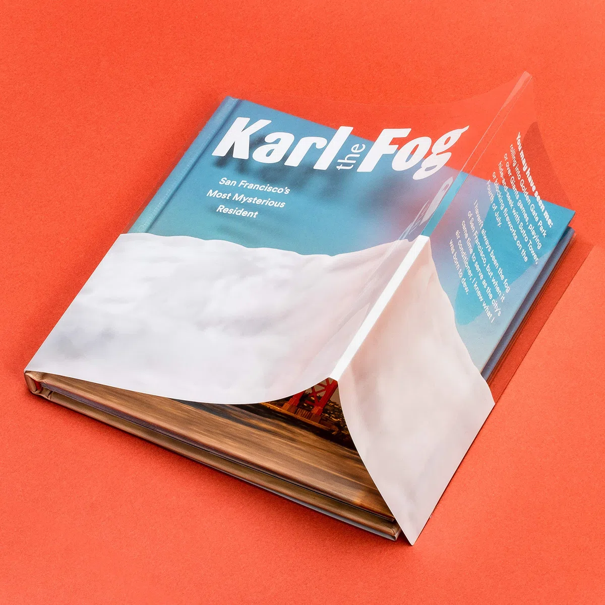 Karl the Fog: San Francisco's Most Mysterious Resident