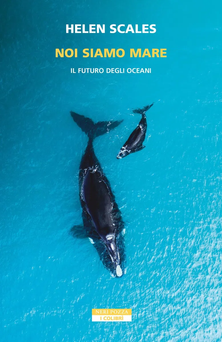 Noi siamo mare. Il futuro degli oceani