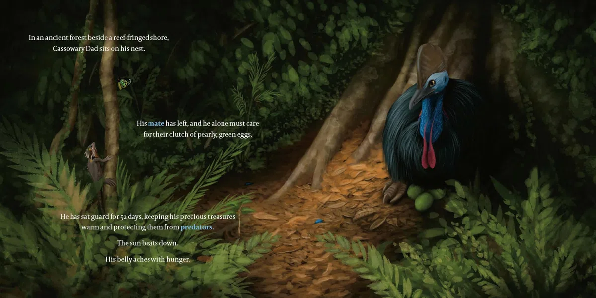 Cassowary Dad