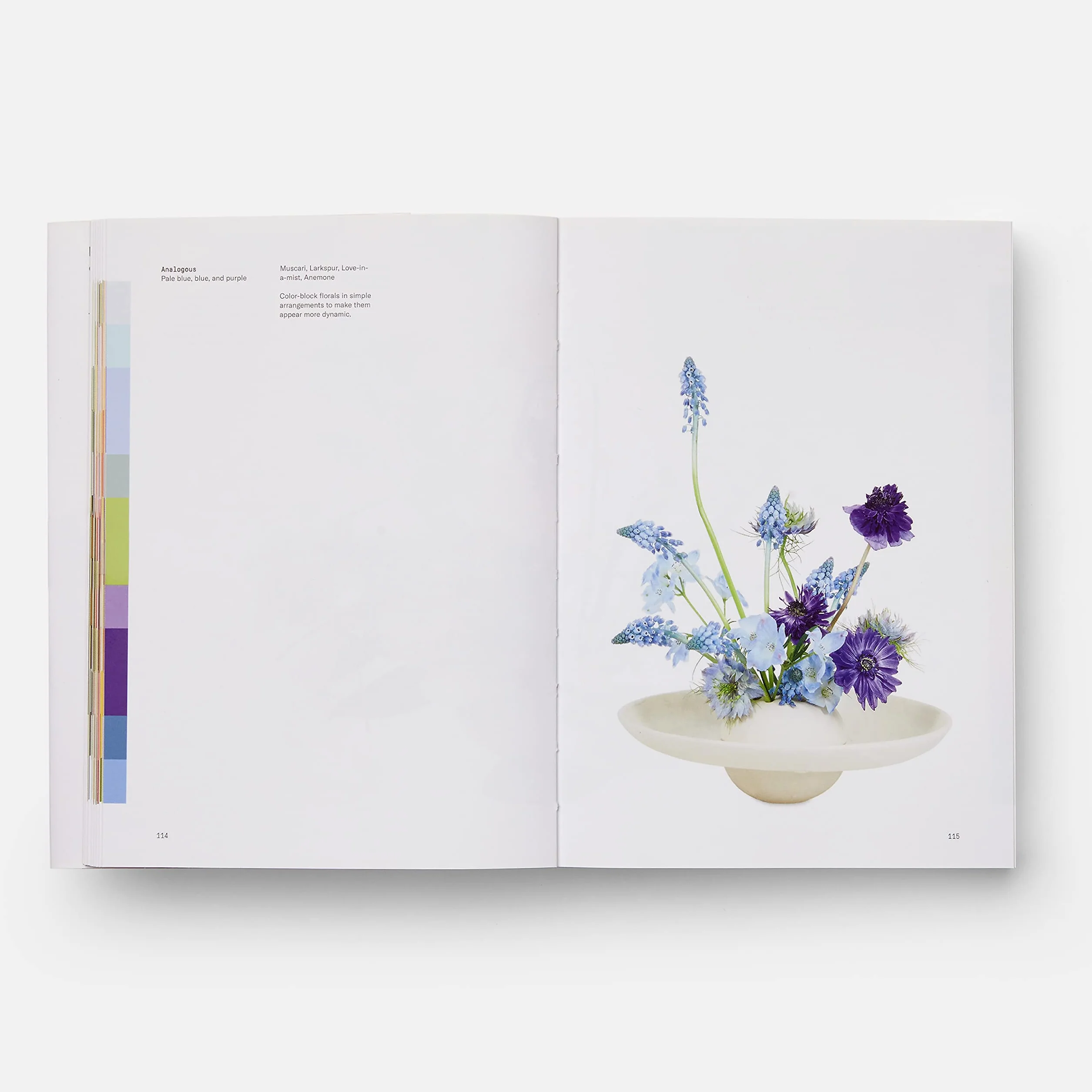 Flower color theory. Ediz. a colori