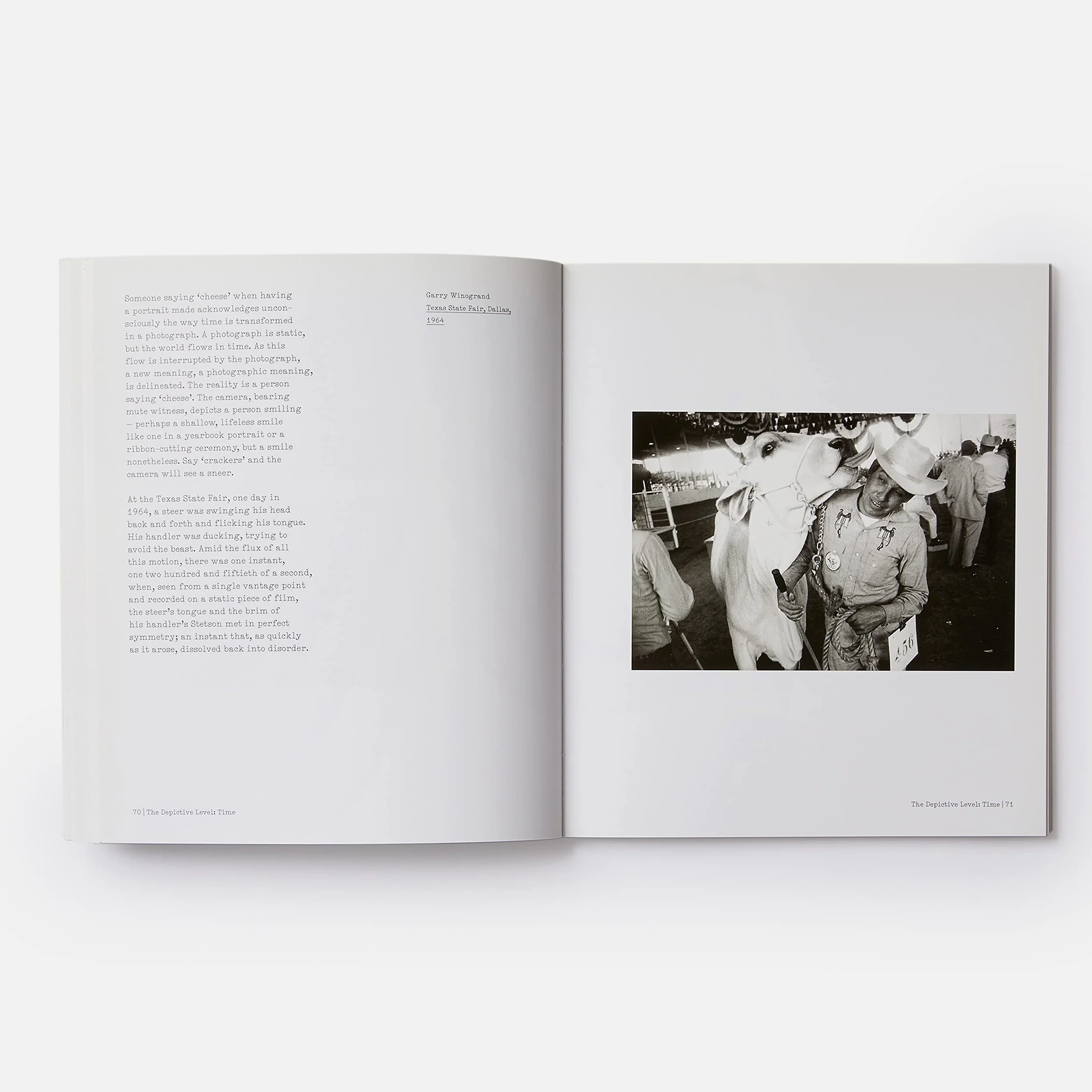 The Nature of Photographs: A Primer [Lingua inglese]