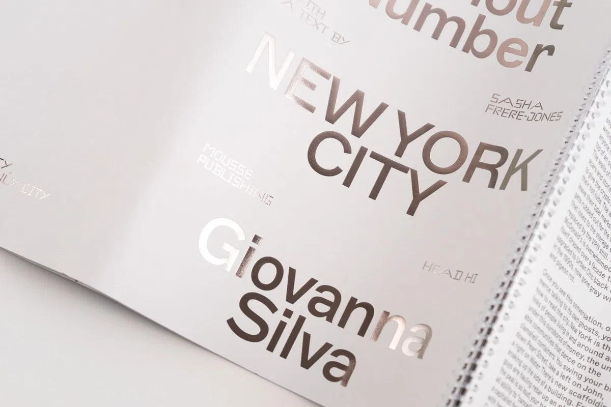 Giovanna Silva: Days without Number. Ediz. a spirale: Days Without Number, New York City