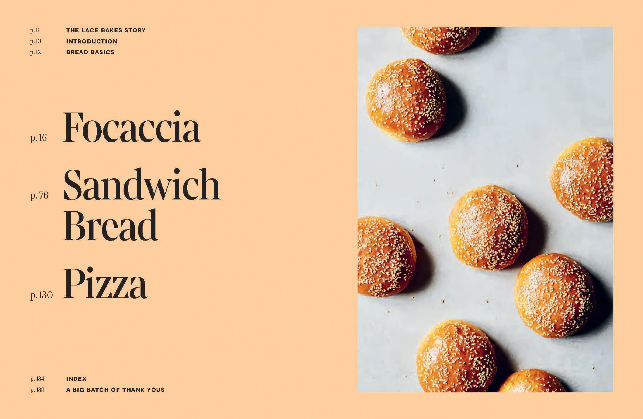 3 Doughs, 60 Recipes: Focaccia, Pizza, Sandwich Bread: Easy-to-master Doughs and Delicious Ways to Enjoy Them