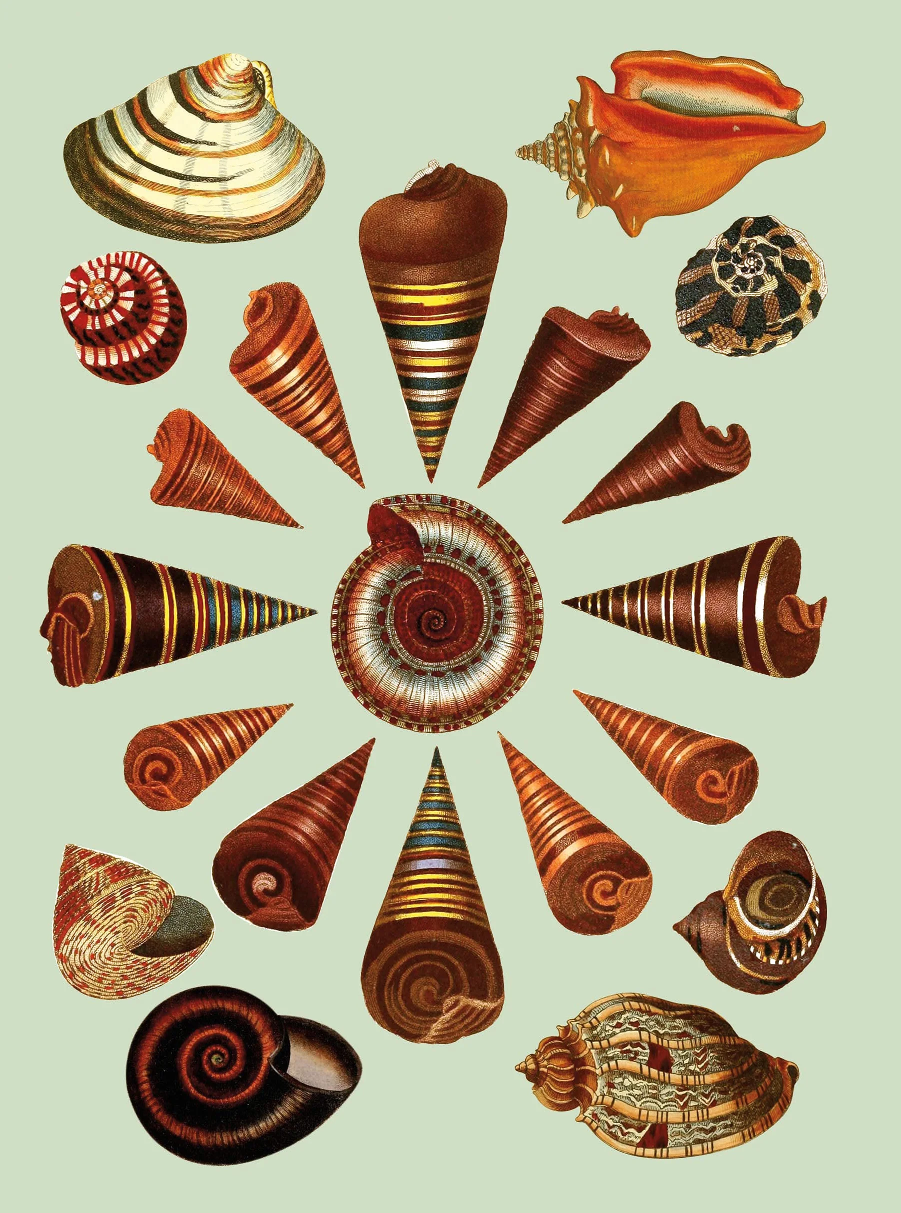 The Antiquarian Sticker Book : An Illustrated Compendium of Adhesive Ephemera