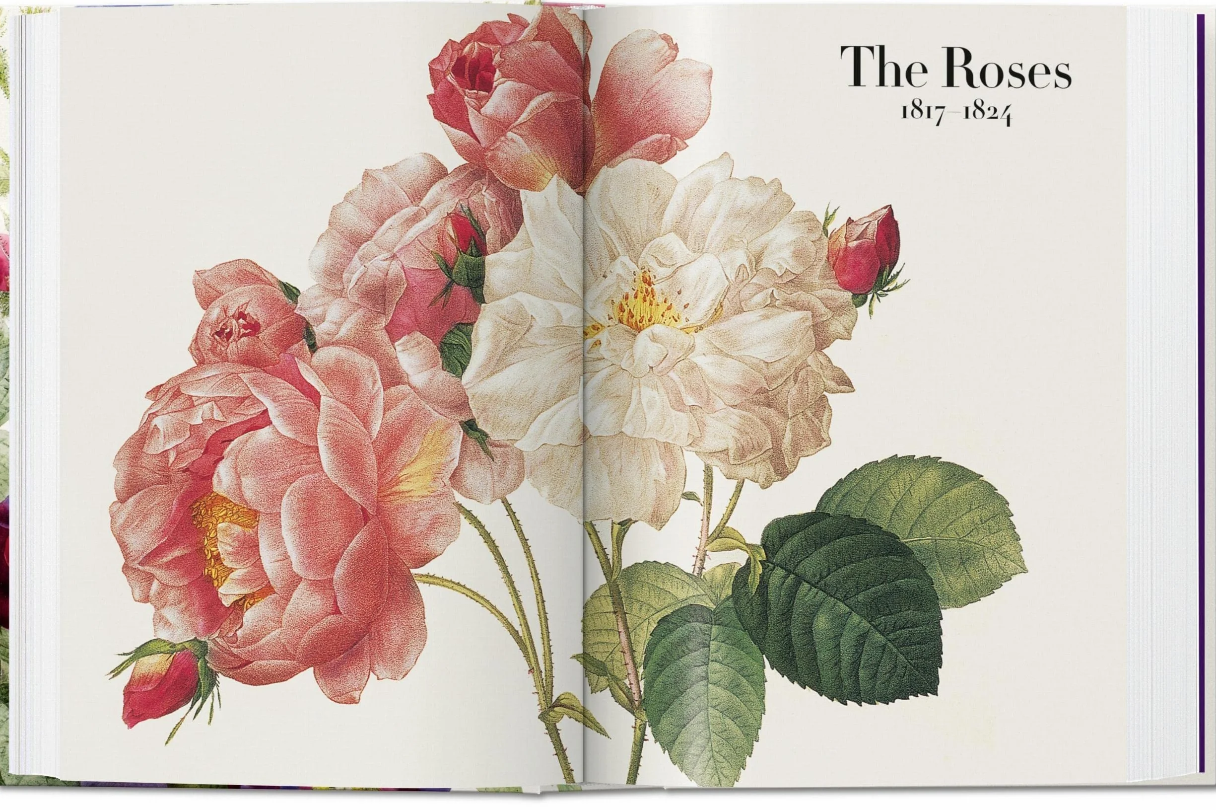 Redouté: The Book of Flowers. 45th Ed.