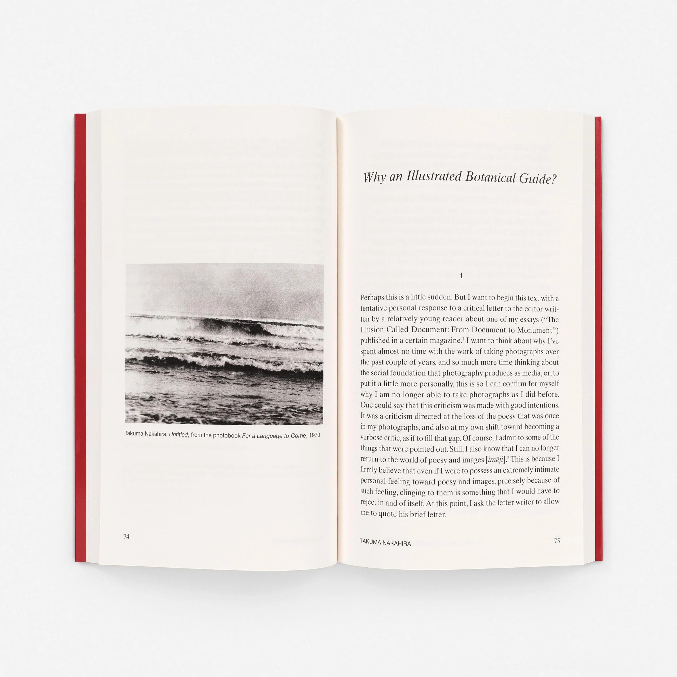 At the Limits of the Gaze: Selected Writings
