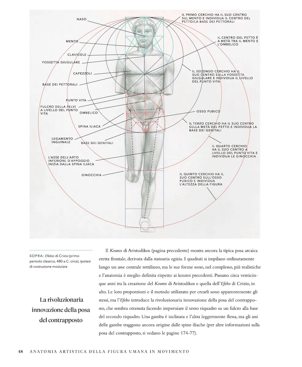 Anatomia artistica della figura umana in movimento