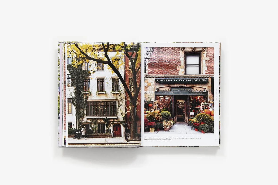 Walk With Me New York: The Beauty of New York Through the Lens of Susan Kaufman