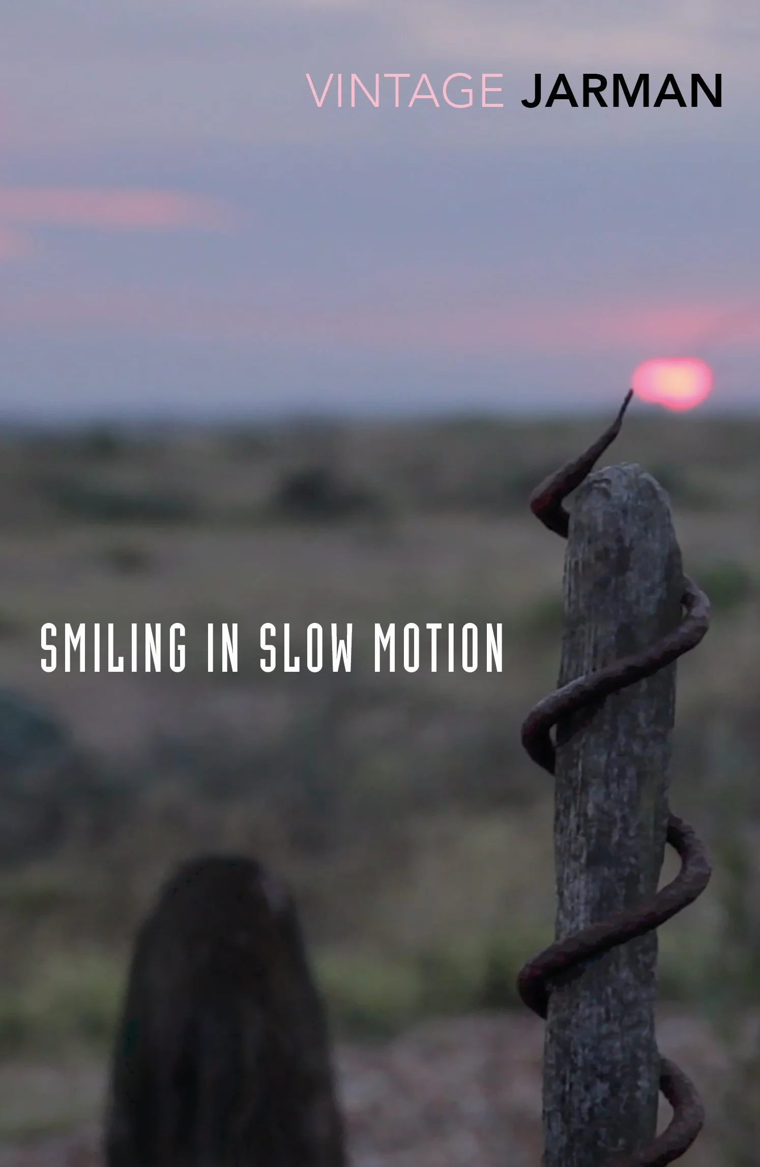 Smiling in Slow Motion : Journals, 1991–1994