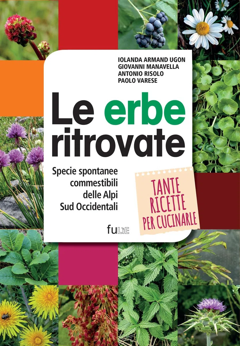 Le erbe ritrovate. Specie spontanee commestibili delle Alpi Sud Occidentali