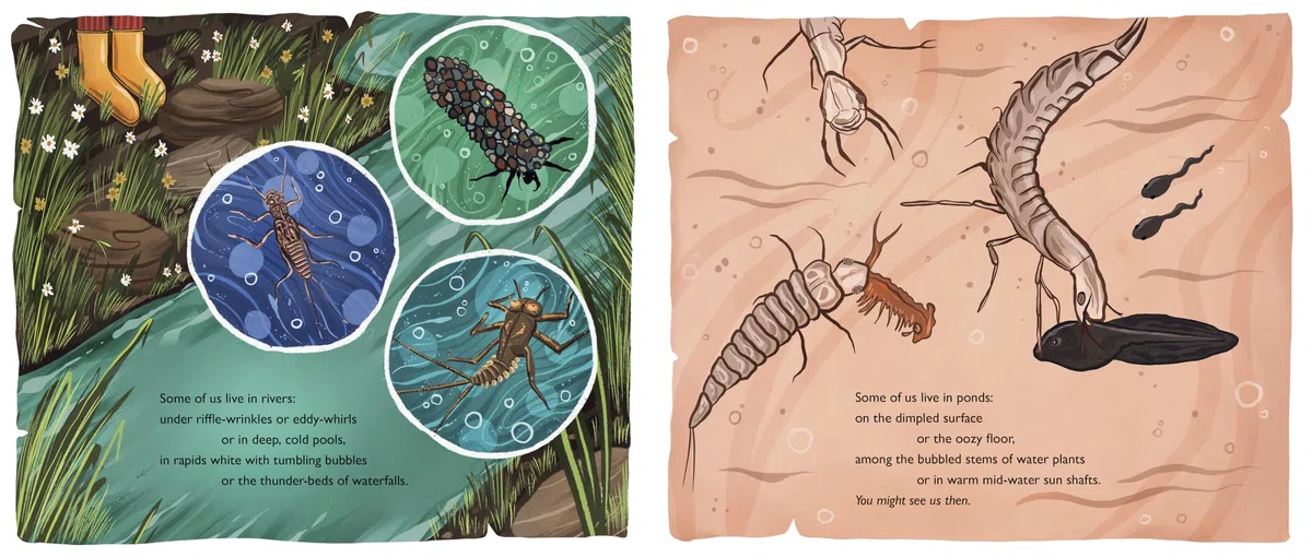 When You See Us: The Mysterious World of Aquatic Insects
