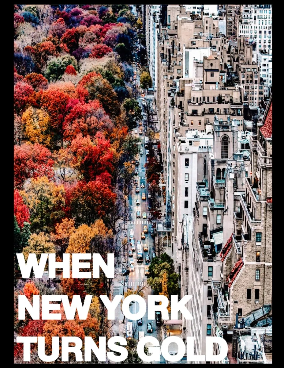 When New York Turns Gold: New York im Herbst — Ein Bildband und Coffee Table Book über Manhattan, Central Park und die goldene Jahreszeit