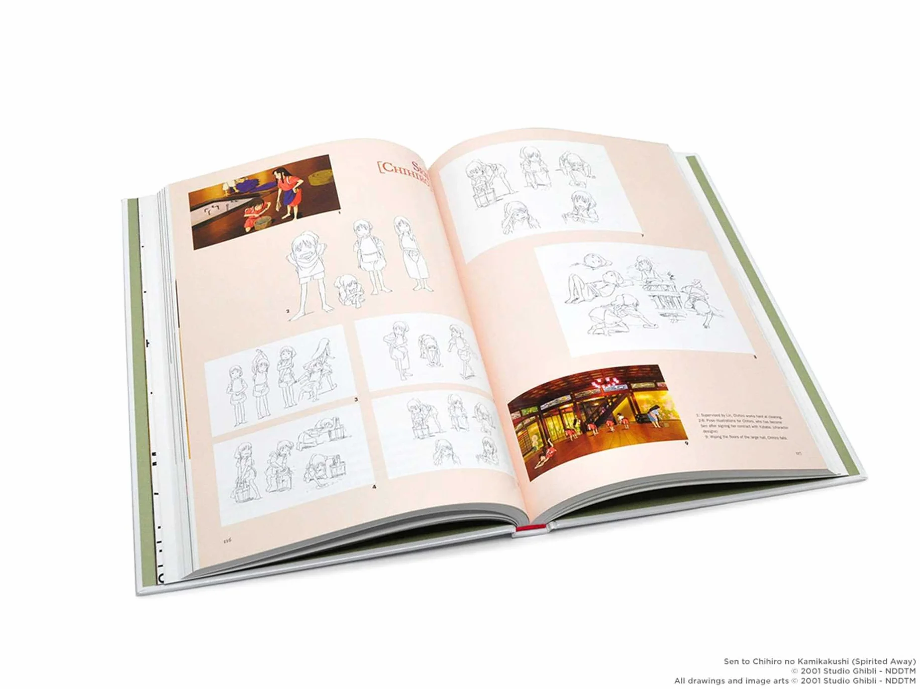 The Art of Spirited Away
