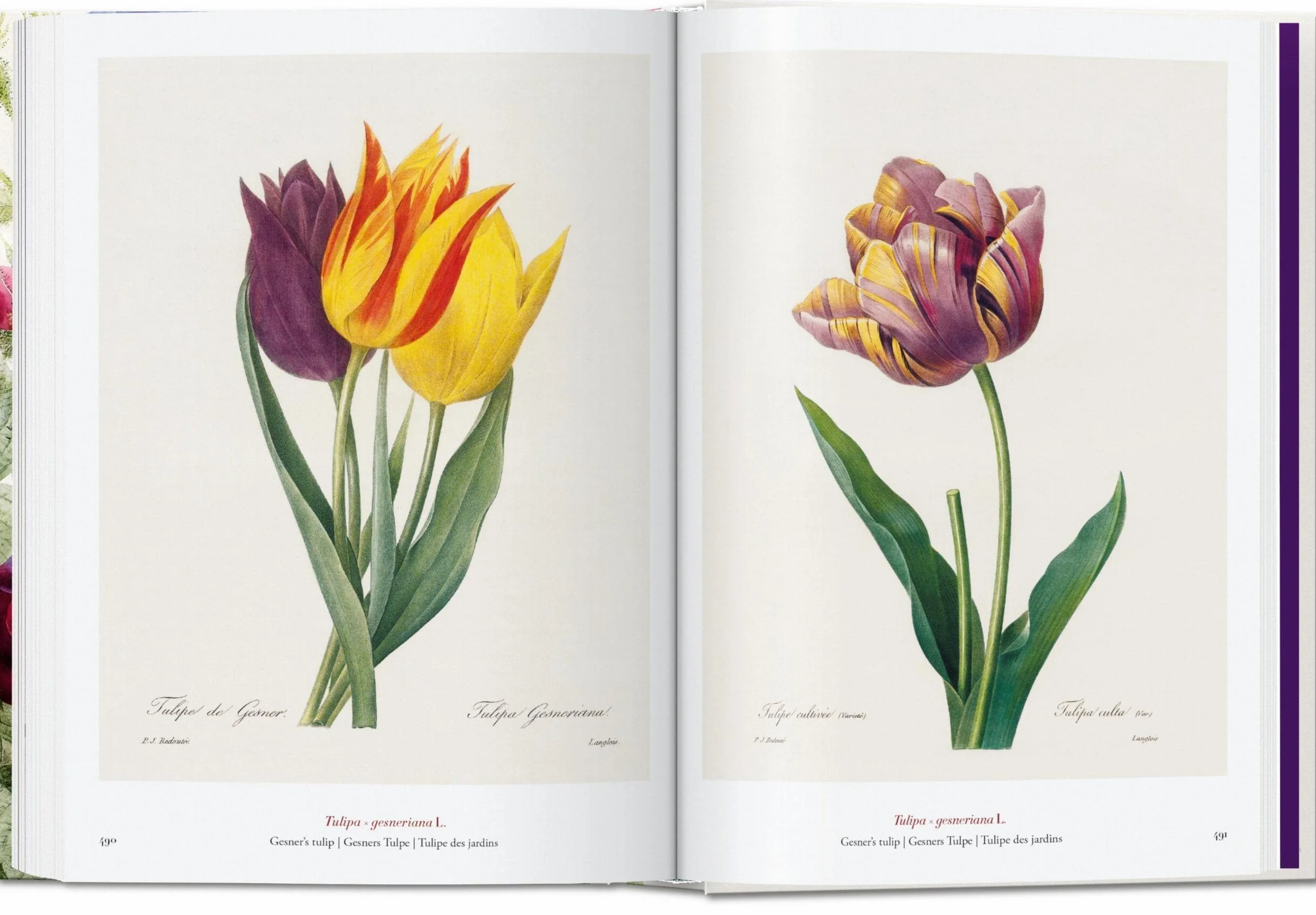 Redouté: The Book of Flowers. 45th Ed.
