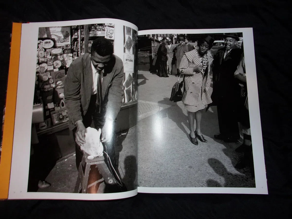New York. Ediz. italiana, francese, inglese, tedesca e spagnola: Thomas Hoepker