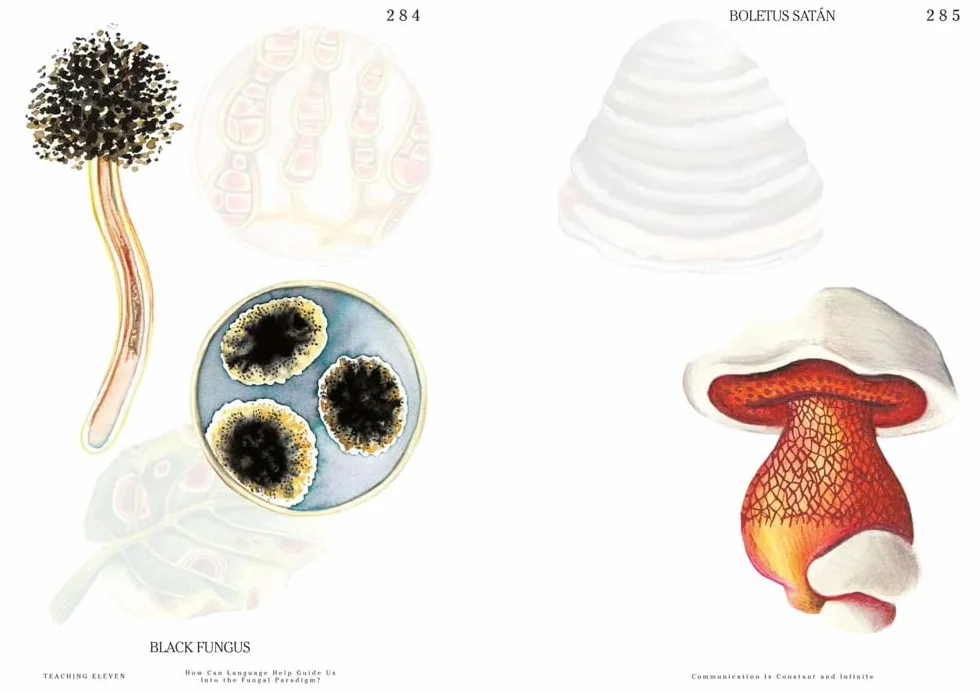 Let's Become Fungal!: Mycelium Teachings and the Arts: Based on Conversations With Indigenous Wisdom Keepers, Artists, Curators, Feminists and Mycologists