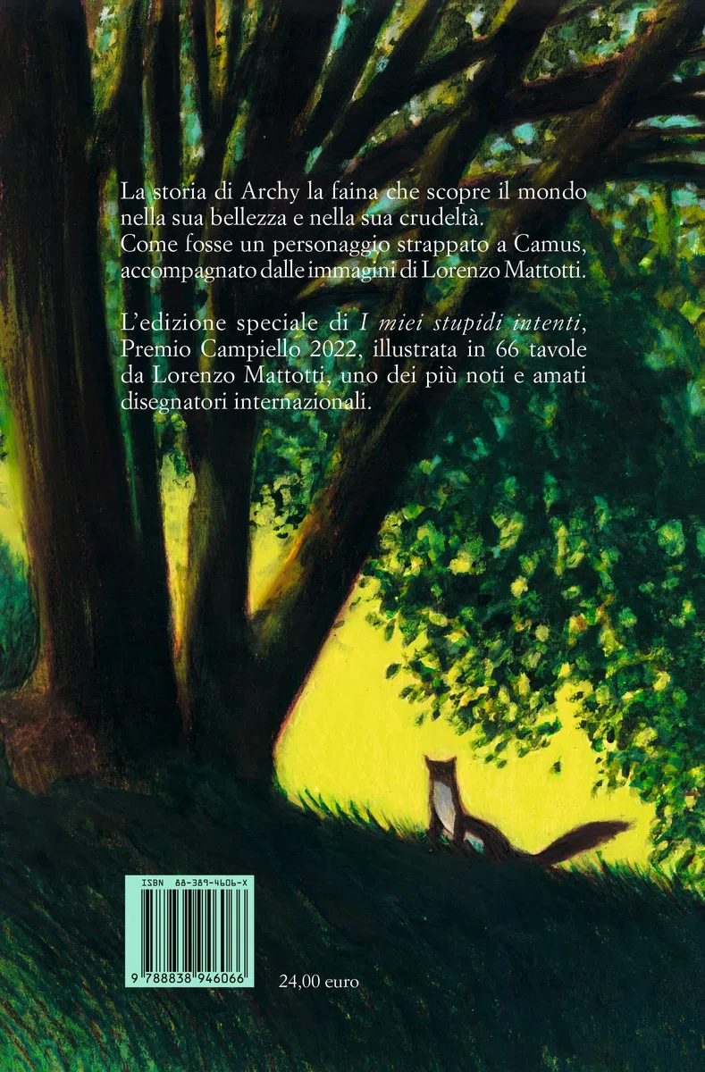 I miei stupidi intenti