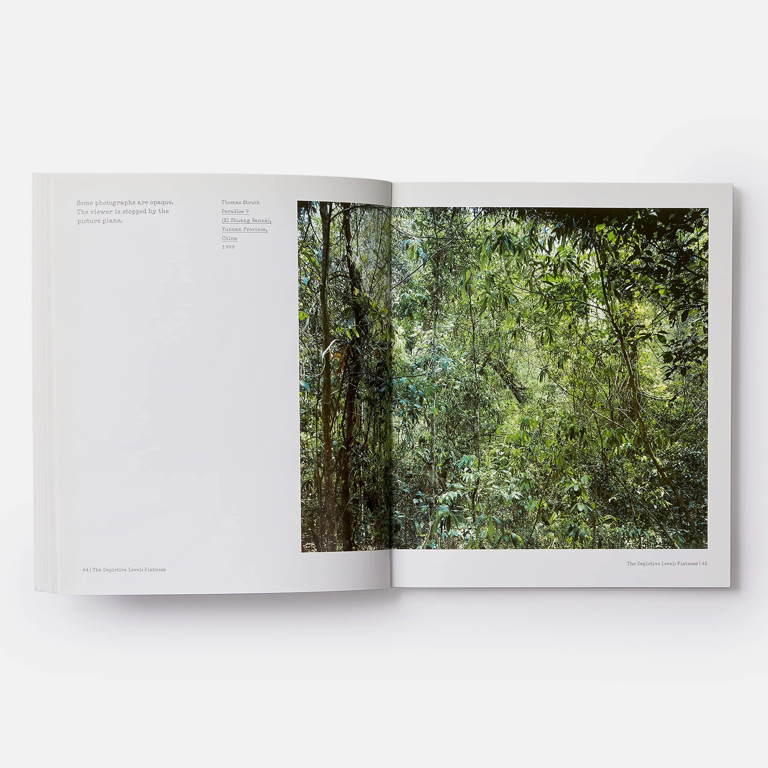 The Nature of Photographs: A Primer [Lingua inglese]