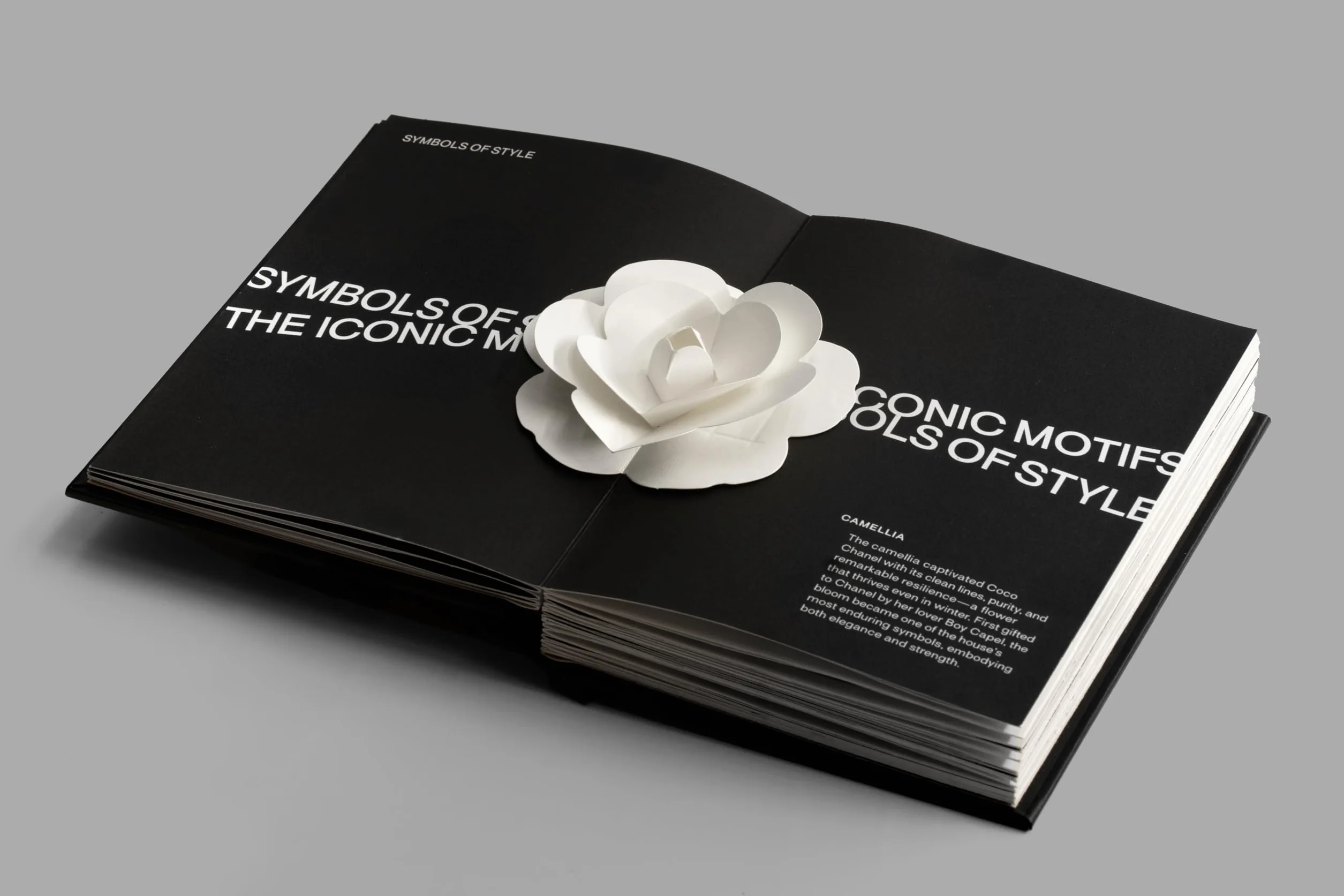 Pop-up Chanel (1)