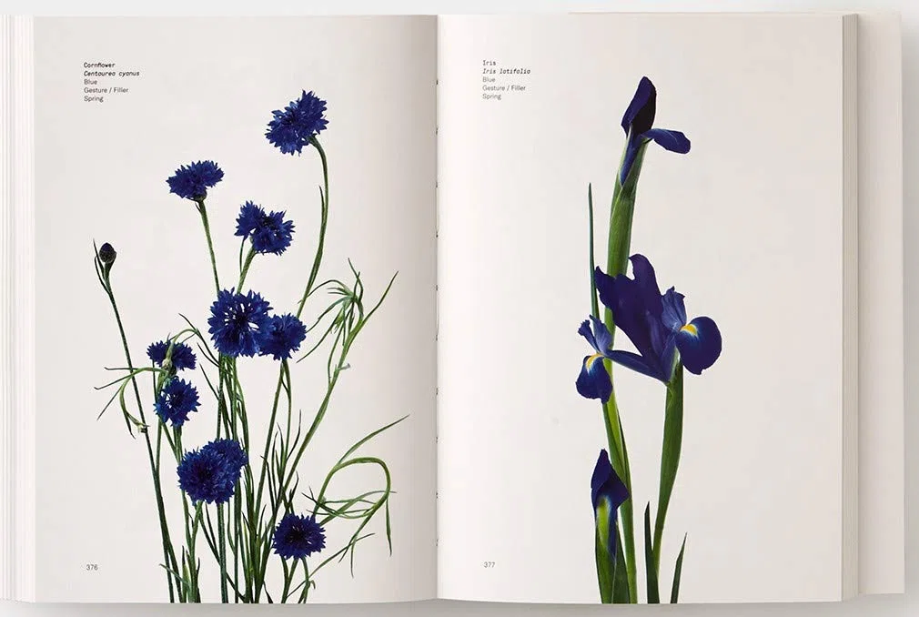 Il colore dei fiori