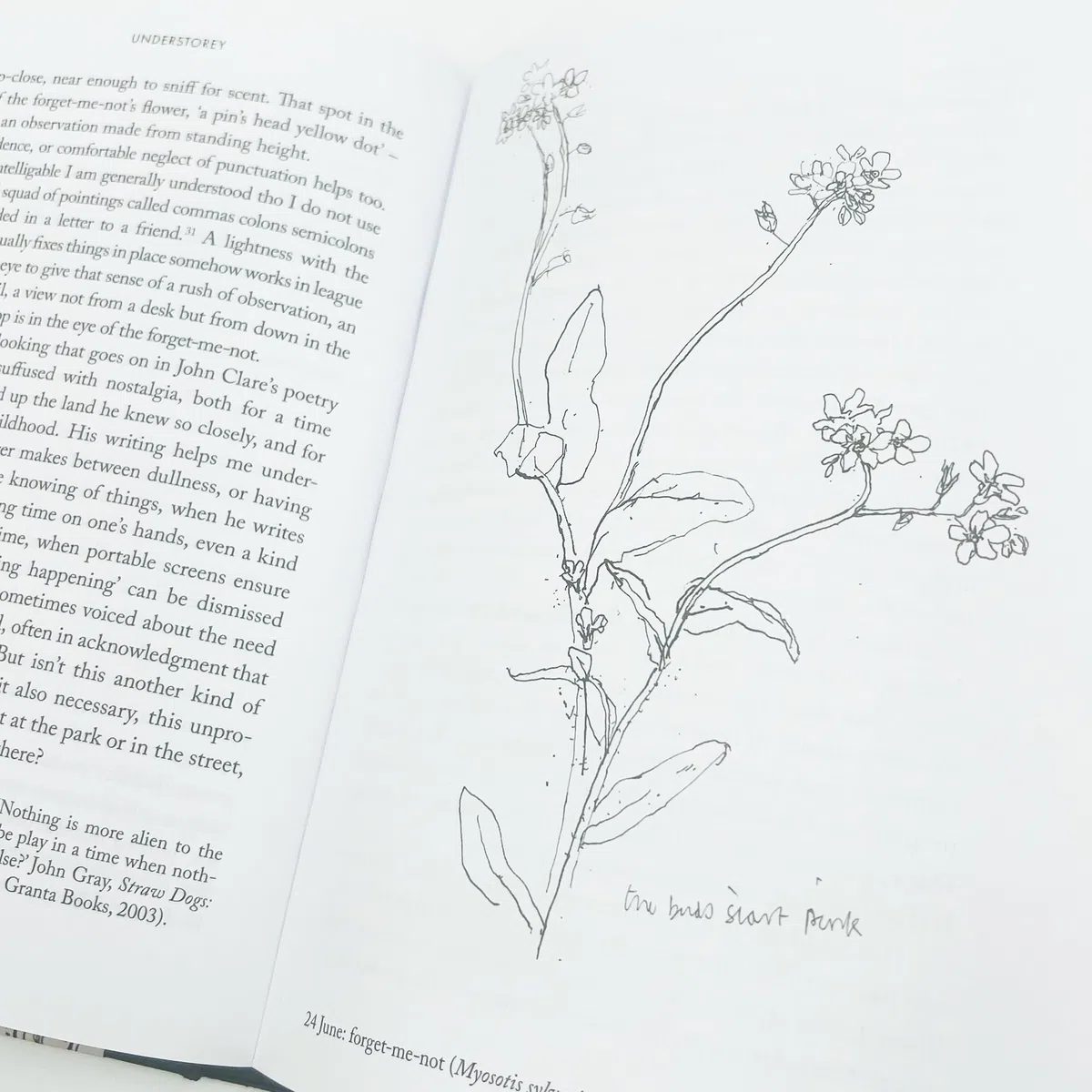 Understorey: A Year Among Weeds