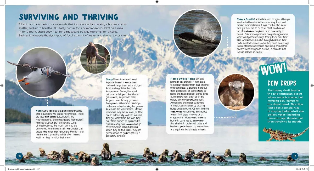 Good Housekeeping 1,001 Amazing Science Facts