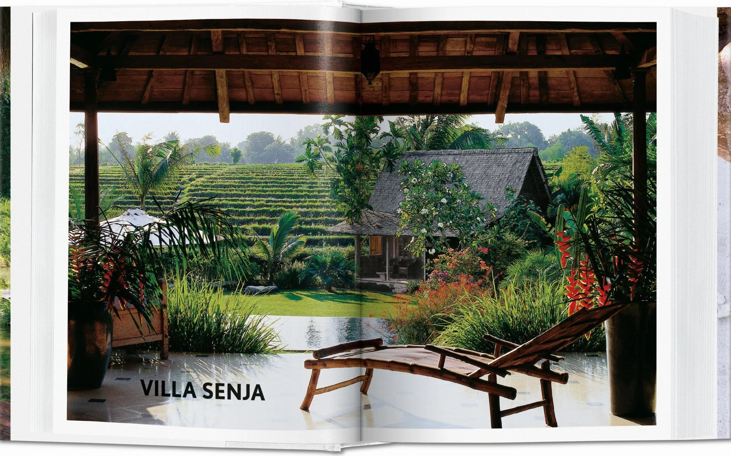 Living in Bali: 45th Ed.