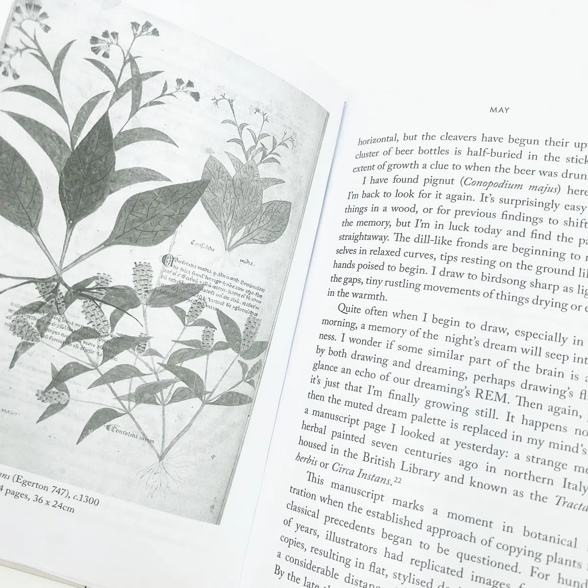 Understorey: A Year Among Weeds