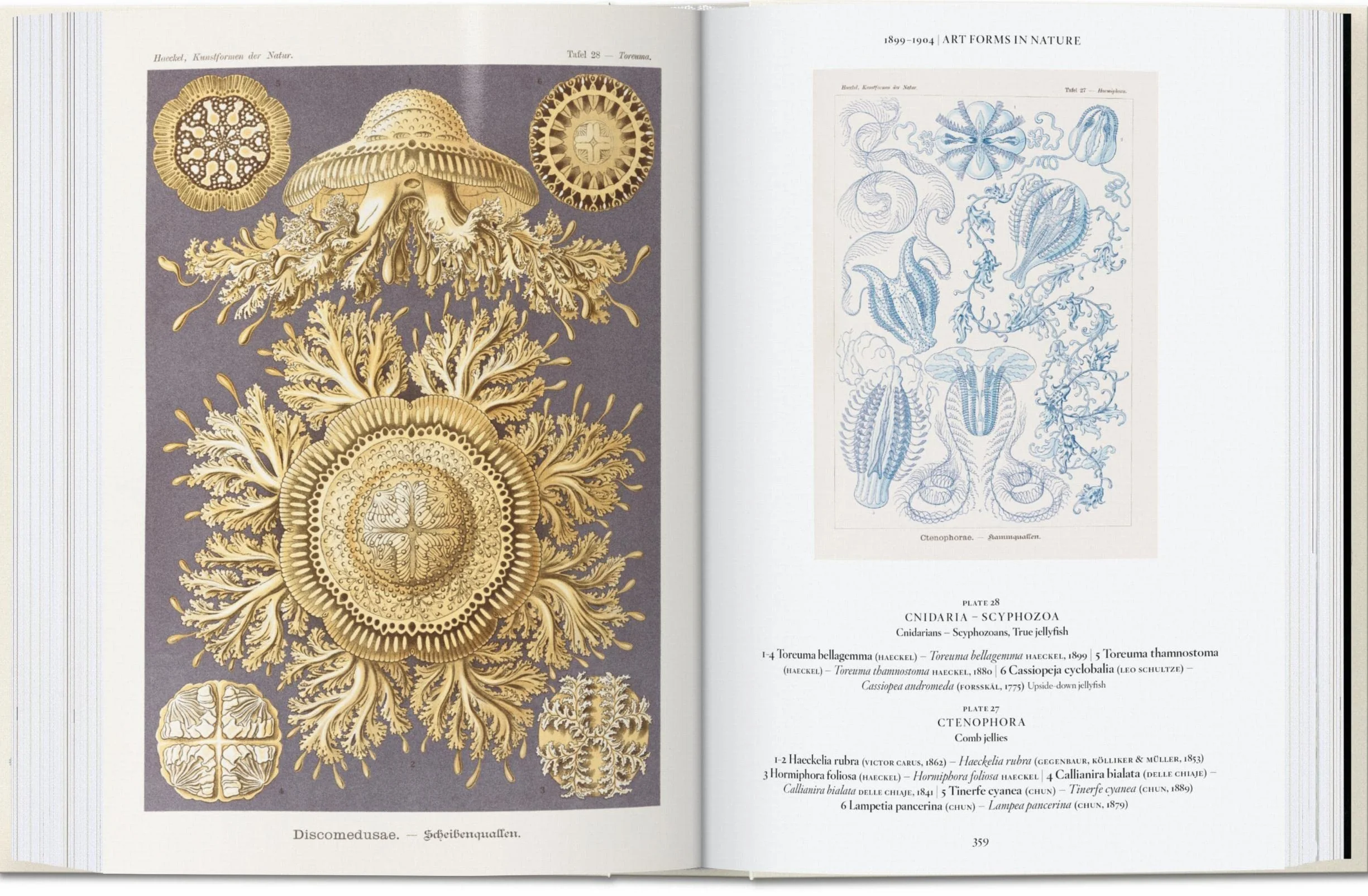 The Art and Science of Ernst Haeckel: 45th Ed.
