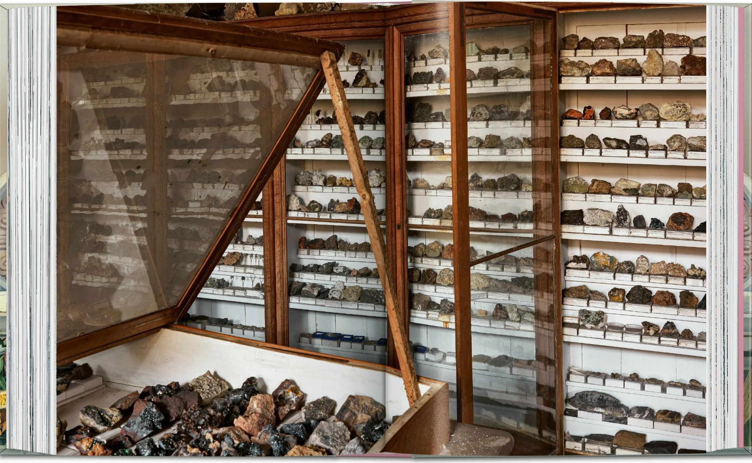 Massimo Listri: Cabinet of Curiosities. 45th Ed.