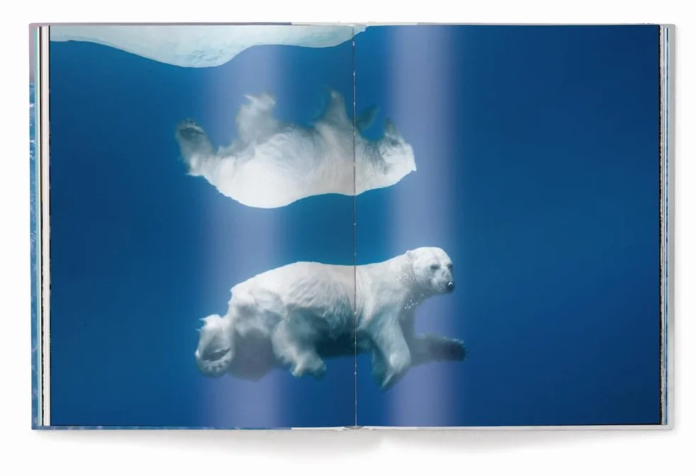 Born to ice. Ediz. a colori