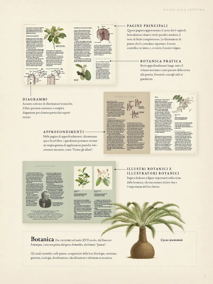 Botanica per giardinieri. L'arte e la scienza del giardinaggio spiegate e raccontate