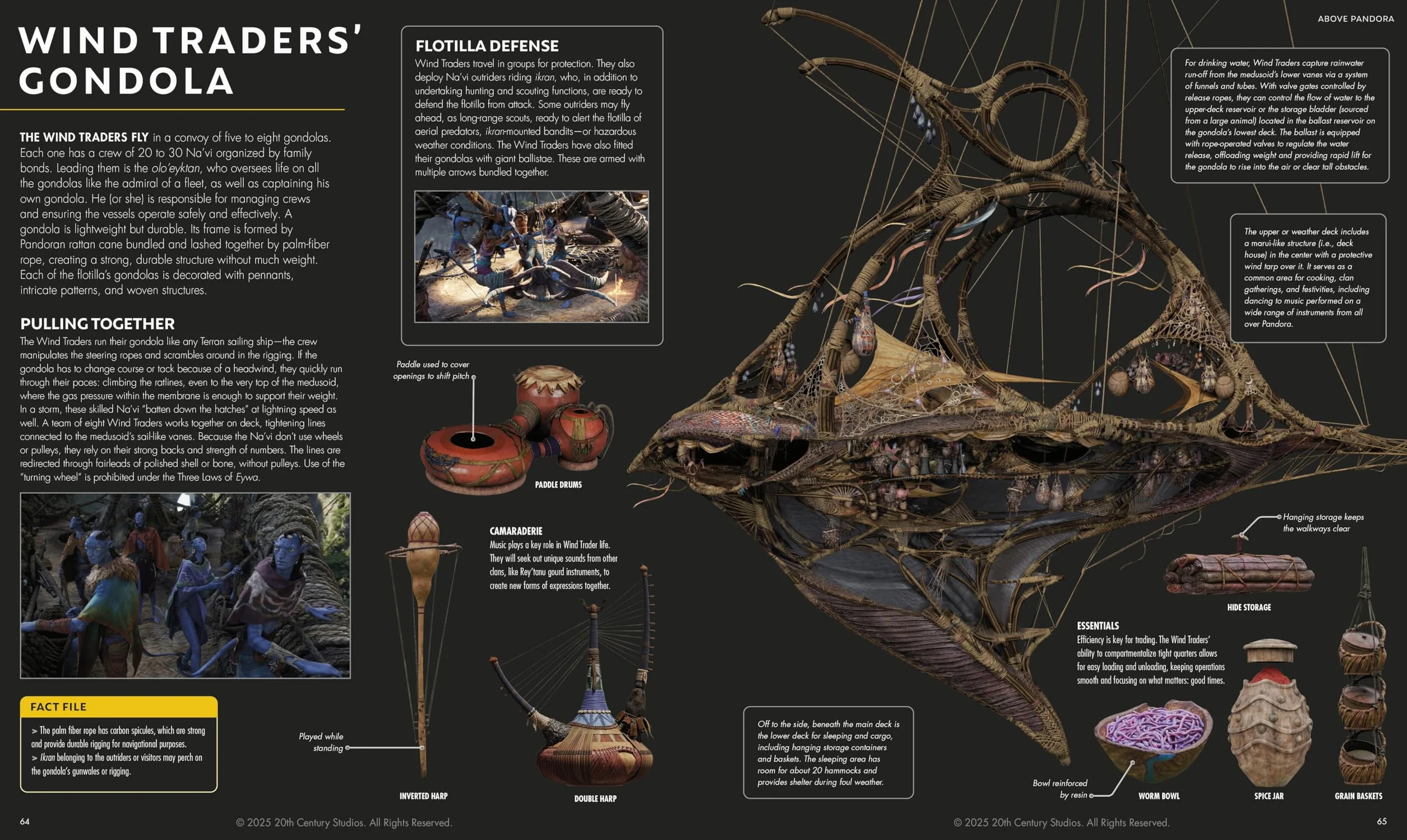 Avatar Fire and Ash The Visual Dictionary