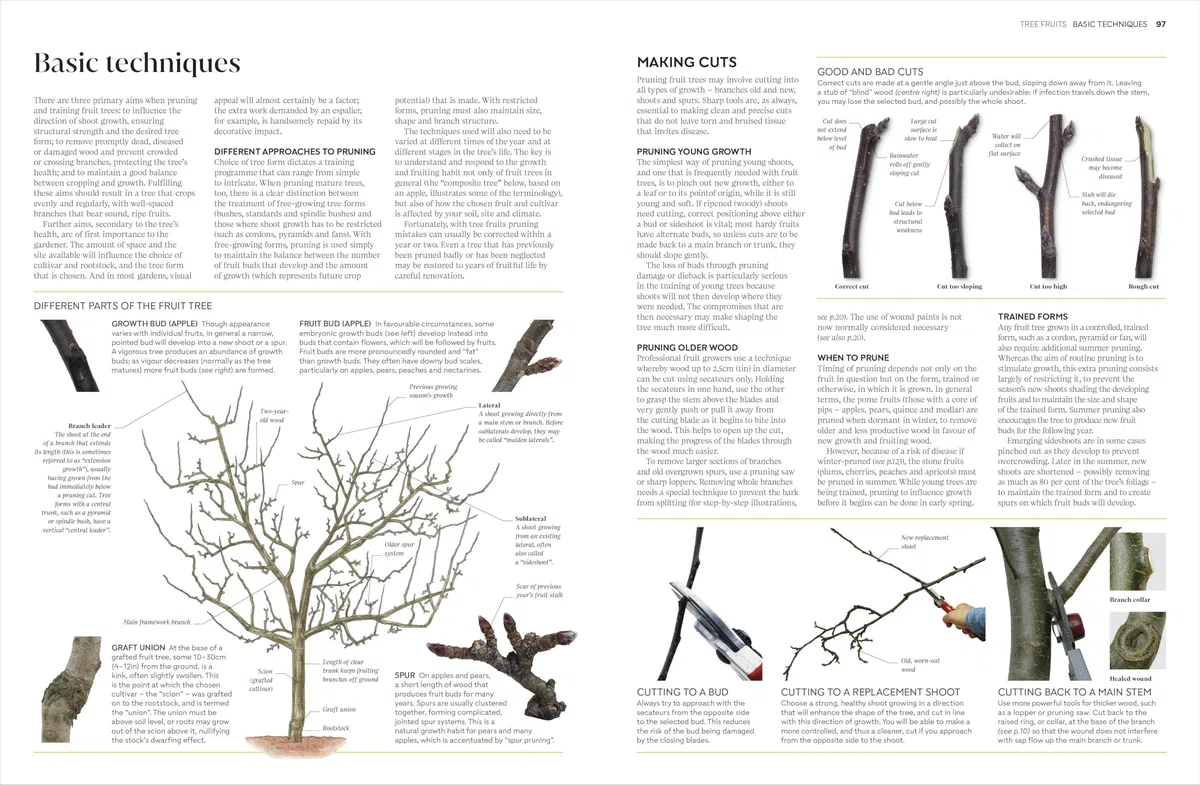 RHS Pruning and Training : What, When, and How to Prune Over 800 Plants