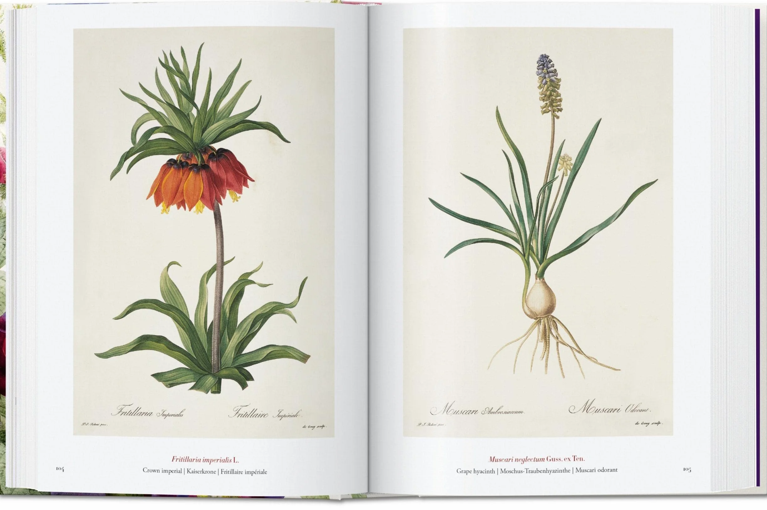 Redouté: The Book of Flowers. 45th Ed.