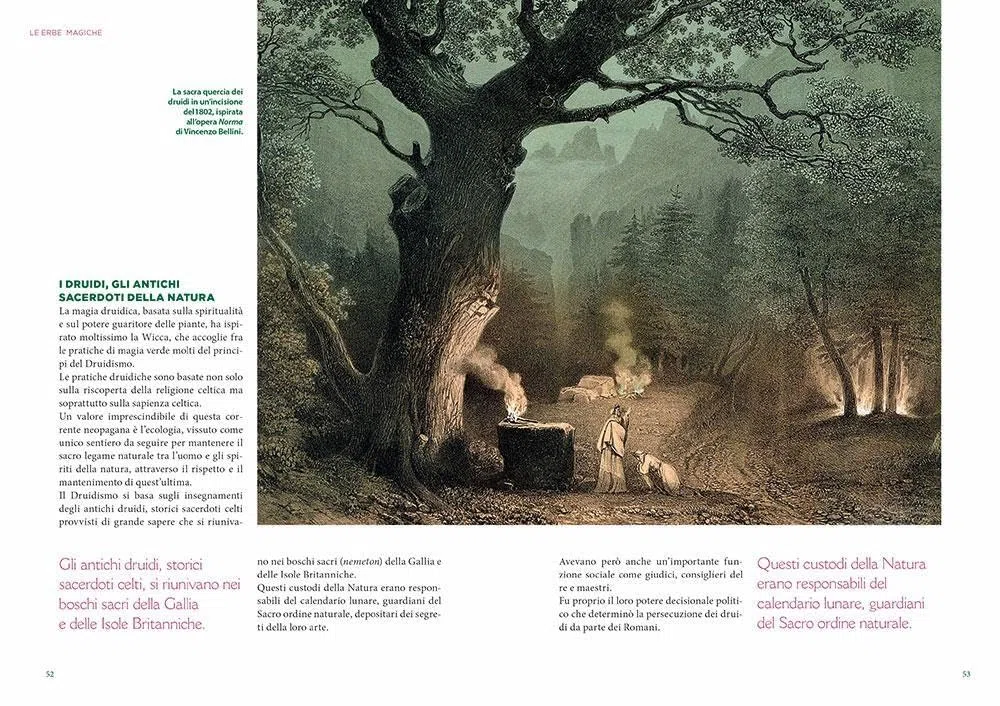 L'erbario della wicca. Piante magiche, incantesimi e rituali