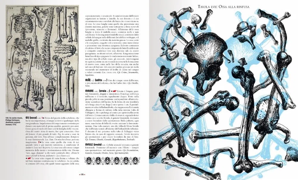 Dizionario folle del corpo. Ediz. a colori