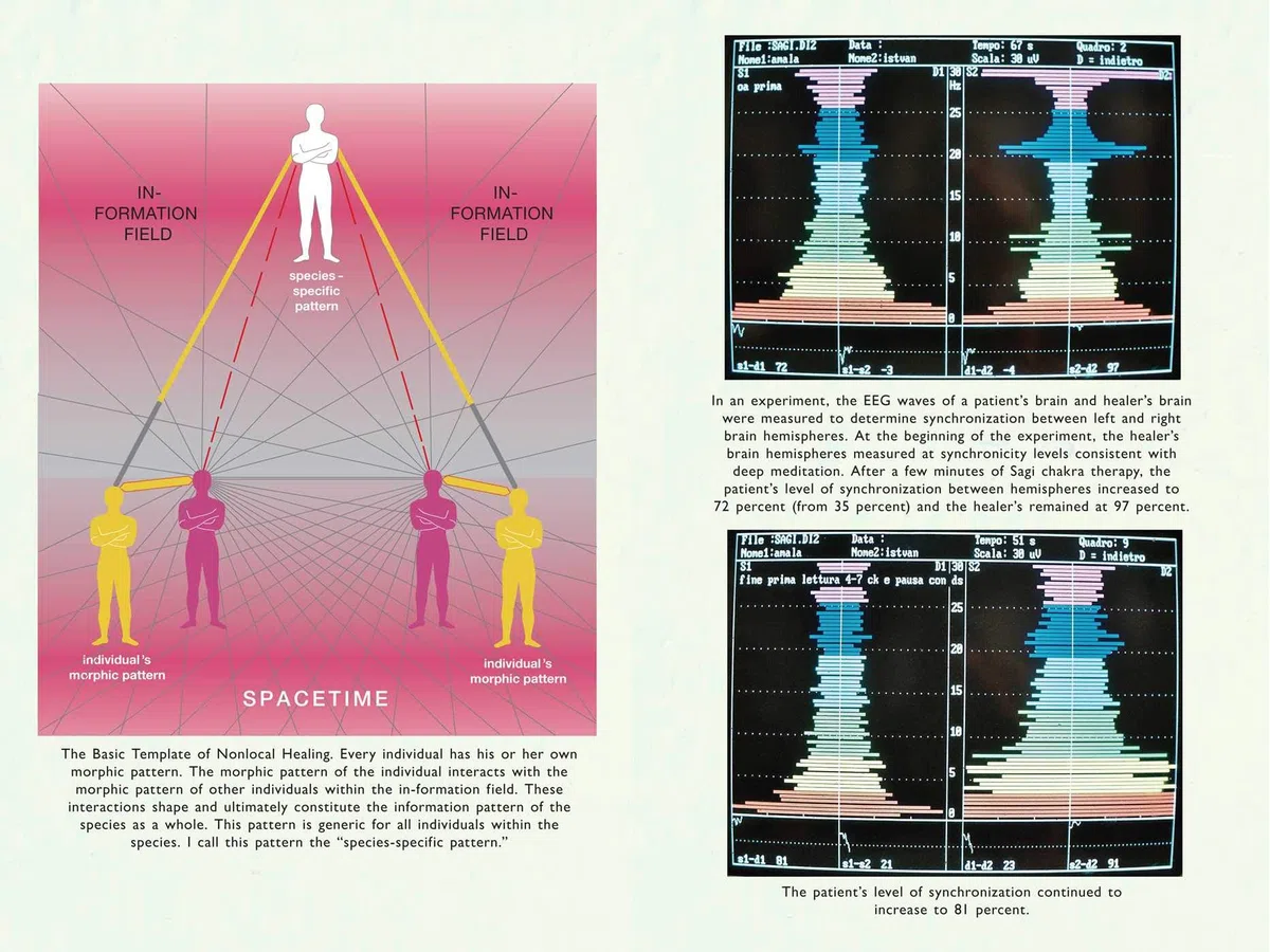 Remote Healing: Nonlocal Information Medicine and the Akashic Field