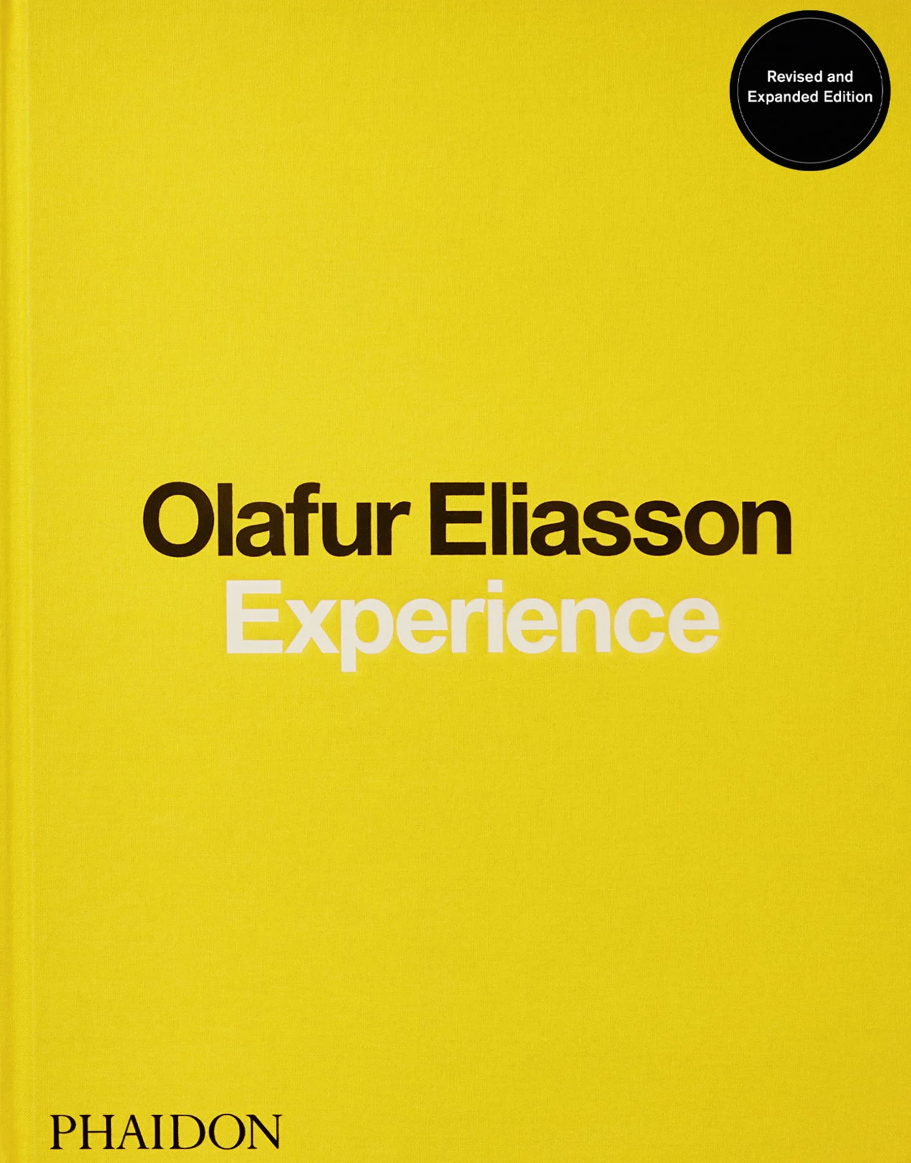 Olafur Eliasson. Experience