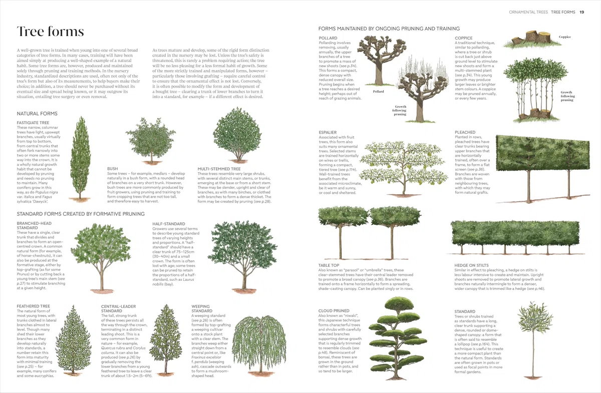 RHS Pruning and Training : What, When, and How to Prune Over 800 Plants