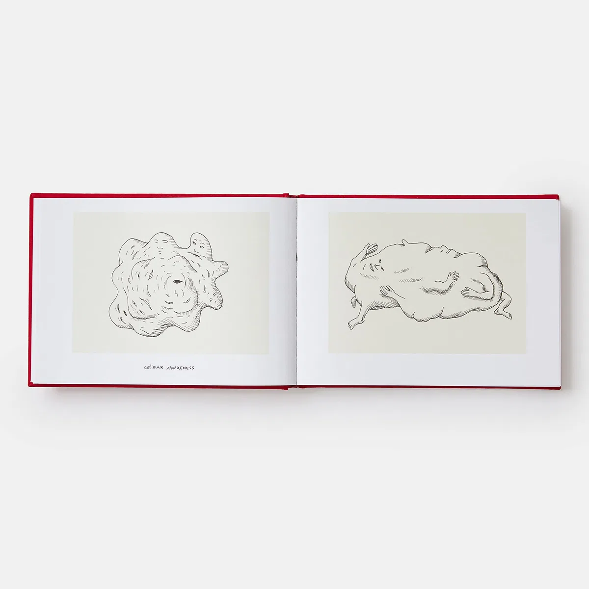 A history of the world (in dingbats): Drawings & Words