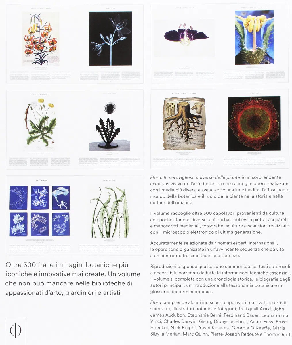 Flora. Il meraviglioso universo delle piante. Ediz. a colori