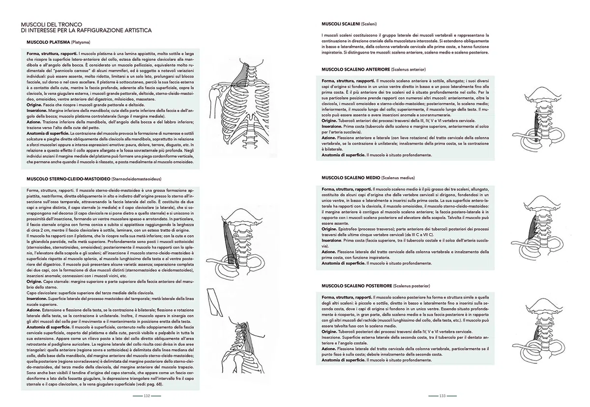 Anatomia per l'artista